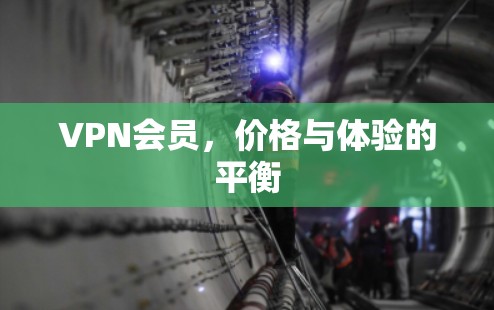 VPN会员，价格与体验的平衡