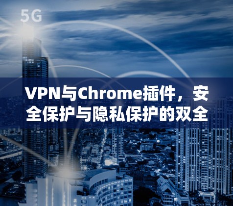 VPN与Chrome插件，安全保护与隐私保护的双全解