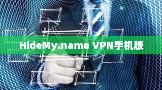 HideMy.name VPN手机版