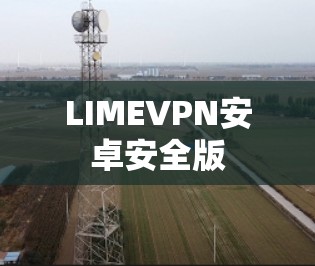 LIMEVPN安卓安全版