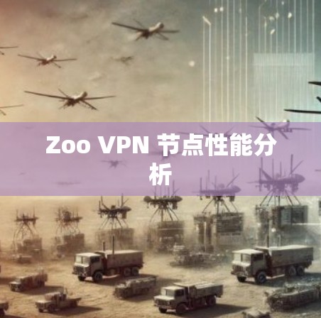 Zoo VPN 节点性能分析