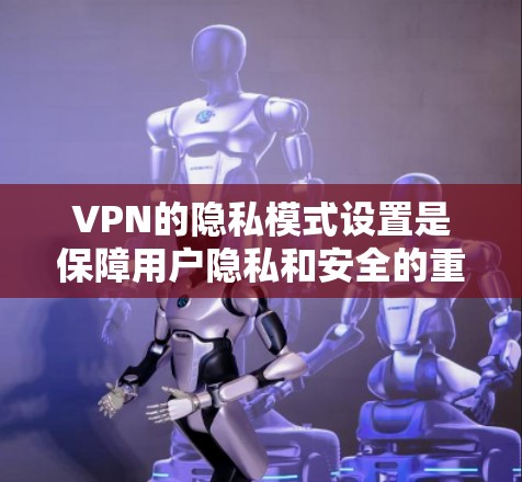 VPN的隐私模式设置是保障用户隐私和安全的重要措施。以下是对这些设置的详细说明