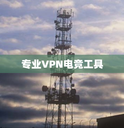 专业VPN电竞工具