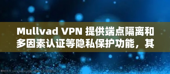 Mullvad VPN 提供端点隔离和多因素认证等隐私保护功能，其在隐私保护方面的表现如何？以下是对 Mullvad VPN 隐私保护的分析