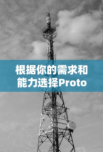 根据你的需求和能力选择ProtonVPN服务器如下