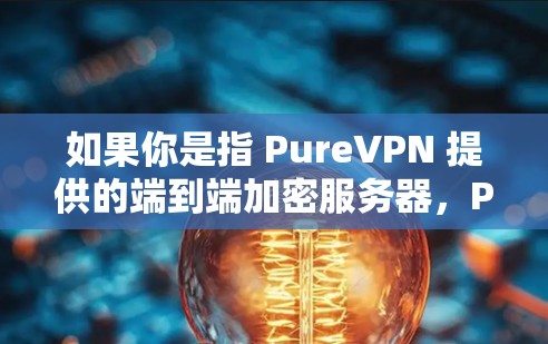 如果你是指 PureVPN 提供的端到端加密服务器，PureVPN 的服务器主要集中在国内，因此没有明显的海外服务器。如果你有其他问题，或者需要更详细的信息，请告诉我！
