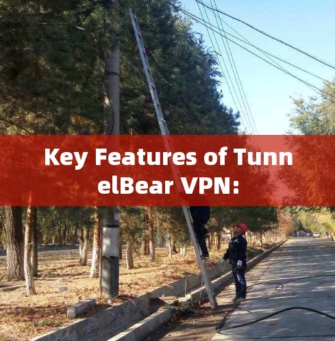 Key Features of TunnelBear VPN:
