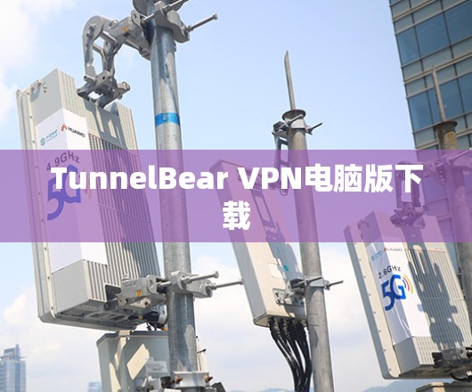 TunnelBear VPN电脑版下载