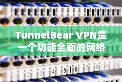 TunnelBear VPN是一个功能全面的网络VPN软件，适合个人用户使用。以下是基于您的需求的逐步解决方案