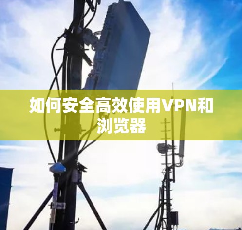 如何安全高效使用VPN和浏览器