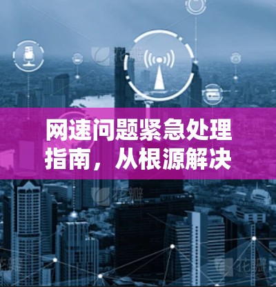 网速问题紧急处理指南，从根源解决故障