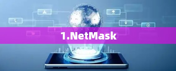 1.NetMask