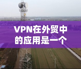 VPN在外贸中的应用是一个复杂而重要的环节。以下是VPN外贸办公的详细方案，涵盖了VPN的选择、运营策略、数据安全、成本控制以及成功案例等方面