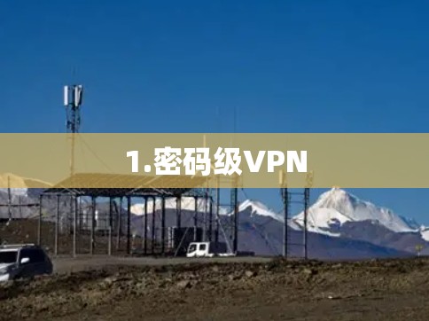 1.密码级VPN
