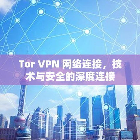 Tor VPN 网络连接，技术与安全的深度连接