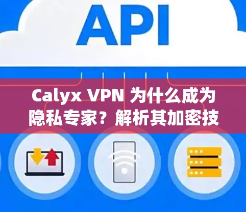 Calyx VPN 为什么成为隐私专家？解析其加密技术背后的深意
