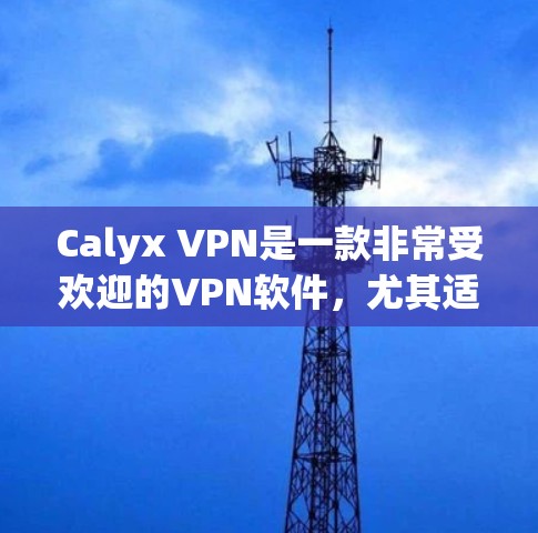 Calyx VPN是一款非常受欢迎的VPN软件，尤其适合Web爽的用户。它以其安全性、多平台支持和易用性著称，能够满足用户在旅行、商务或日常通勤时的需求。以下是对Calyx VPN体验的评测