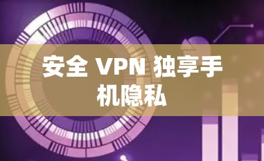 安全 VPN 独享手机隐私 安全 VPN 独享手机隐私