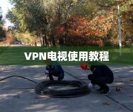VPN电视使用教程