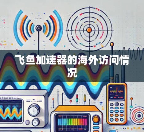 飞鱼加速器的海外访问情况