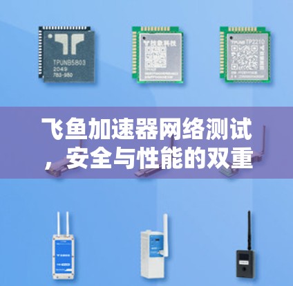 飞鱼加速器网络测试，安全与性能的双重挑战