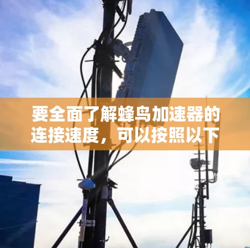 要全面了解蜂鸟加速器的连接速度，可以按照以下步骤进行