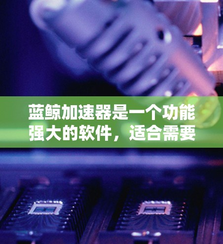 蓝鲸加速器是一个功能强大的软件，适合需要下载资源和管理文件的用户。以下是使用蓝鲸加速器的具体步骤