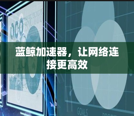 蓝鲸加速器，让网络连接更高效