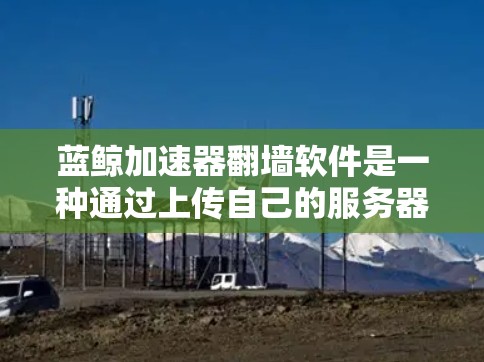 蓝鲸加速器翻墙软件是一种通过上传自己的服务器来加速下载器下载速度的加速工具。以下是关于该软件的详细介绍