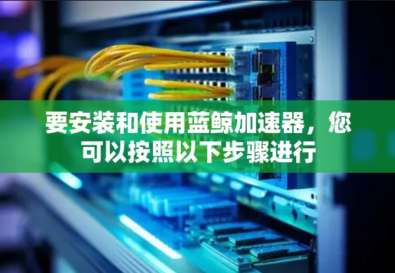 要安装和使用蓝鲸加速器，您可以按照以下步骤进行