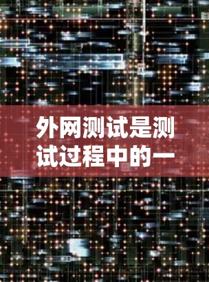 外网测试是测试过程中的一个重要步骤，旨在确认网站或服务器模块能够正常访问外部服务器和网络。以下是详细的步骤和注意事项