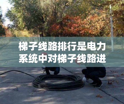 梯子线路排行是电力系统中对梯子线路进行合理排列和管理的过程，旨在确保系统的可靠性、效率和安全性。以下是对梯子线路排行的分步说明