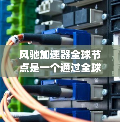 风驰加速器全球节点是一个通过全球网络部署的加速系统，旨在提升汽车制造商的驾驶体验和市场竞争力。以下是该节点的详细分析