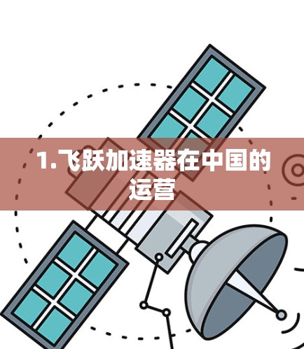 1.飞跃加速器在中国的运营