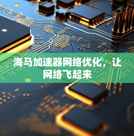 海马加速器网络优化，让网络飞起来