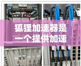 狐狸加速器是一个提供加速网络连接功能的网站，通常以www.开头，后面的域名是其官方网站。为了找到狐狸加速器的官网入口，可以按照以下步骤操作