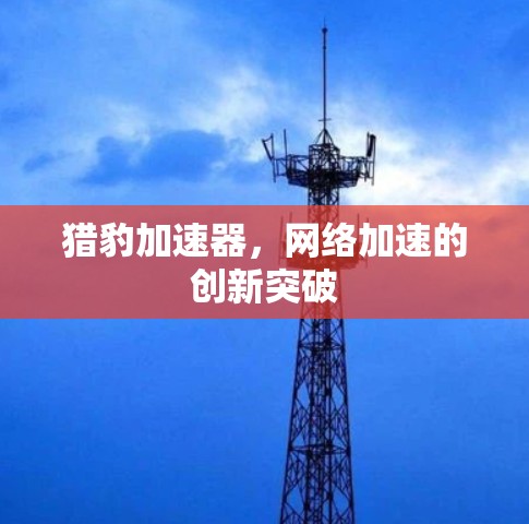 猎豹加速器，网络加速的创新突破