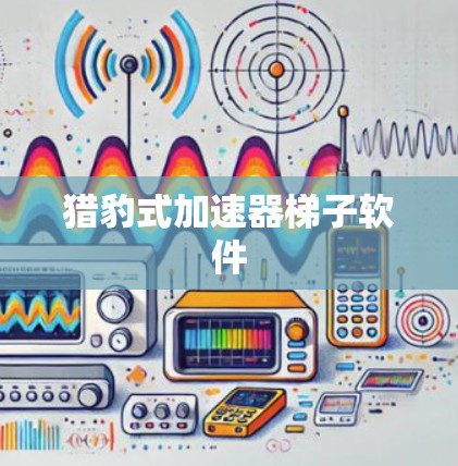 猎豹式加速器梯子软件