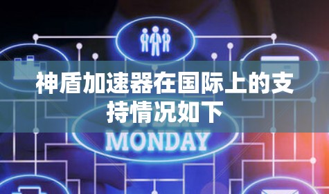 神盾加速器在国际上的支持情况如下