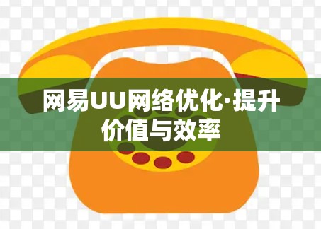 网易UU网络优化·提升价值与效率