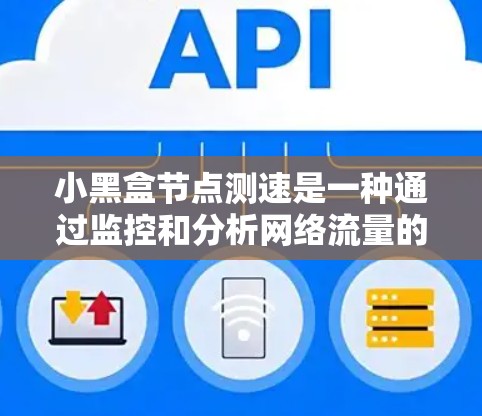 小黑盒节点测速是一种通过监控和分析网络流量的特征来检测异常流量的机制，广泛应用于流量异常检测、网络攻击检测等场景。以下是关于小黑盒节点测速的详细分析