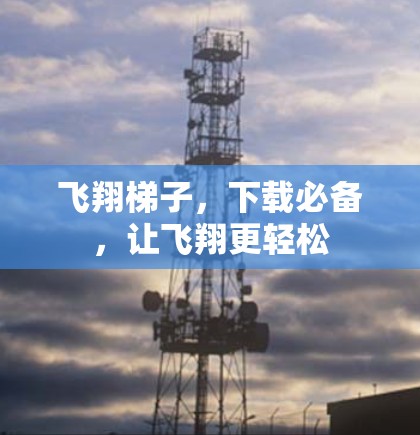 飞翔梯子，下载必备，让飞翔更轻松
