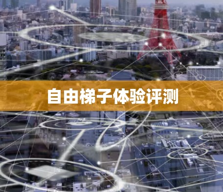 自由梯子体验评测