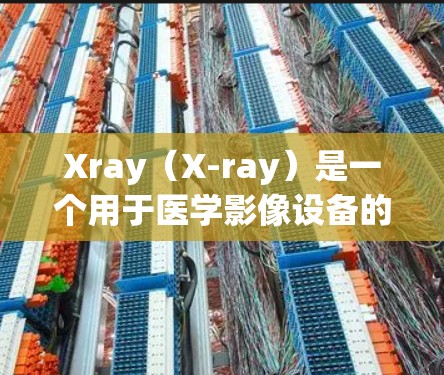 Xray（X-ray）是一个用于医学影像设备的软件工具，主要用于进行X射线扫描、医学检查、教学和研究等。以下是关于如何配置Xray的步骤说明