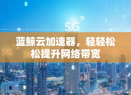 蓝鲸云加速器，轻轻松松提升网络带宽