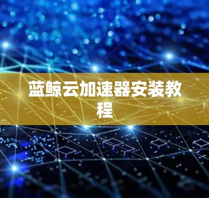 蓝鲸云加速器安装教程