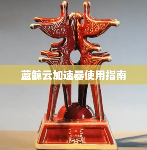 蓝鲸云加速器使用指南