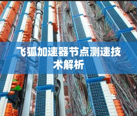 飞狐加速器节点测速技术解析