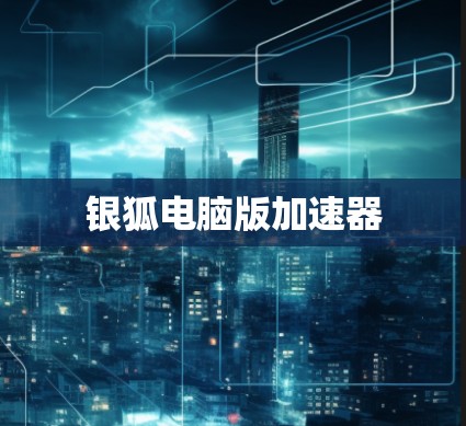 银狐电脑版加速器