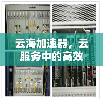 云海加速器，云服务中的高效加速方案